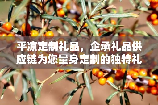 平凉定制礼品，企承礼品供应链为您量身定制的独特礼物