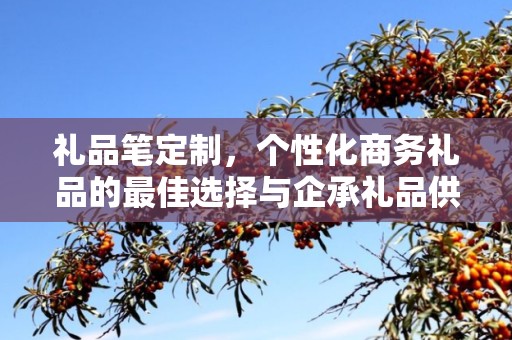 礼品笔定制，个性化商务礼品的最佳选择与企承礼品供应链公司简述